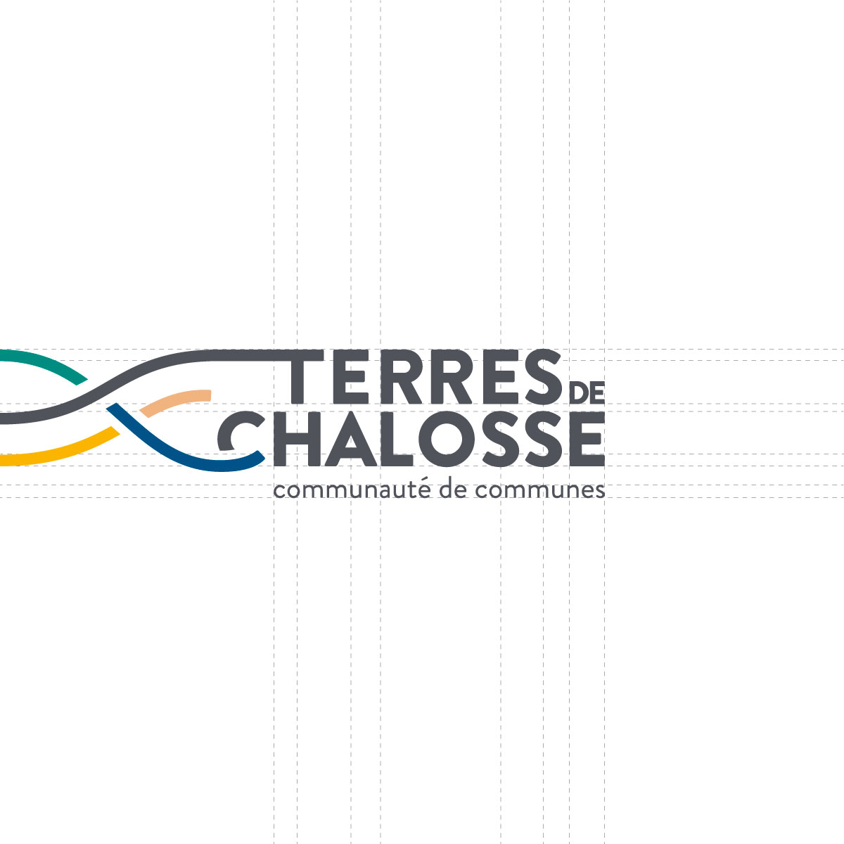 Terres de Chalosse logo construction